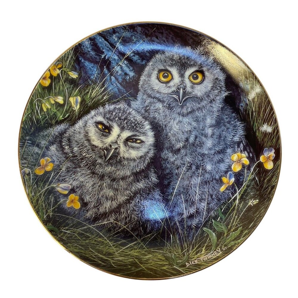 Vintage Snowy Owls Plate B1171 Baby Owls Collection Danbury Mint 1988
